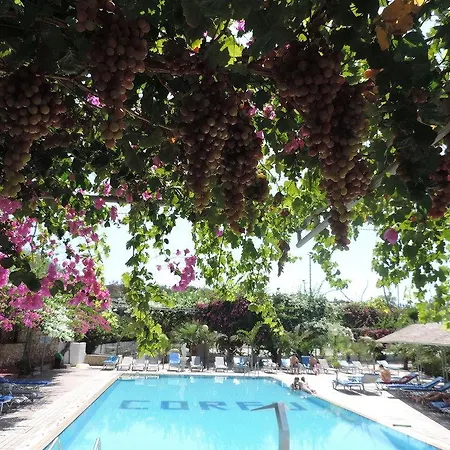 Corfu Otel 4*