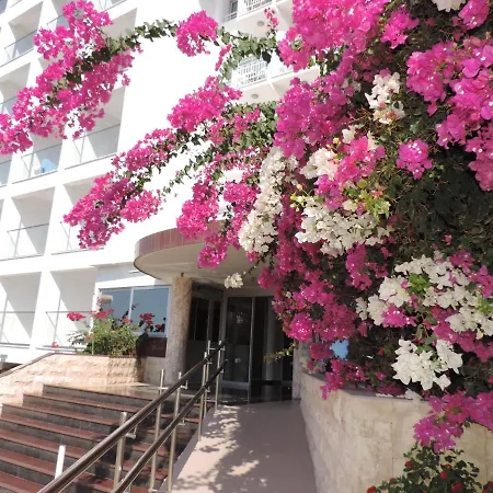 科孚岛酒店 酒店